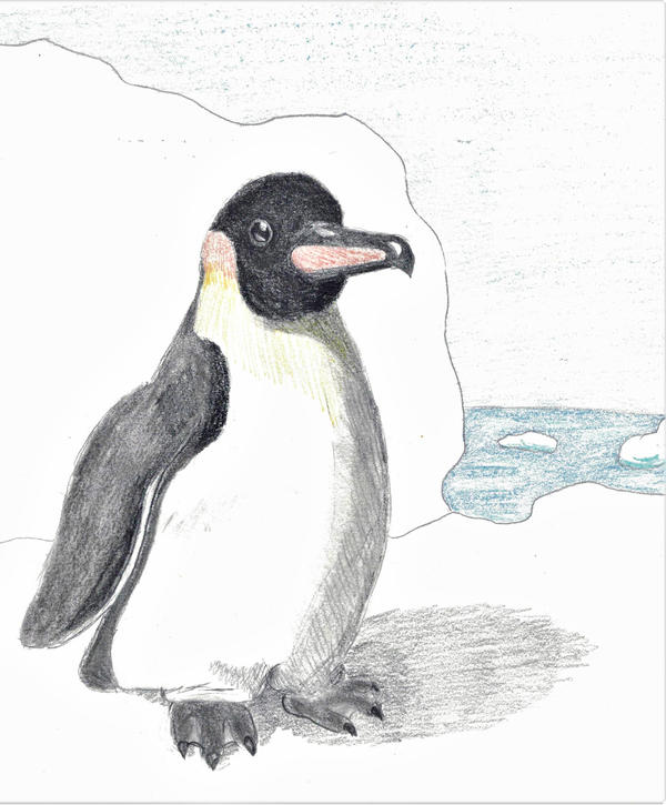 doodle penguin