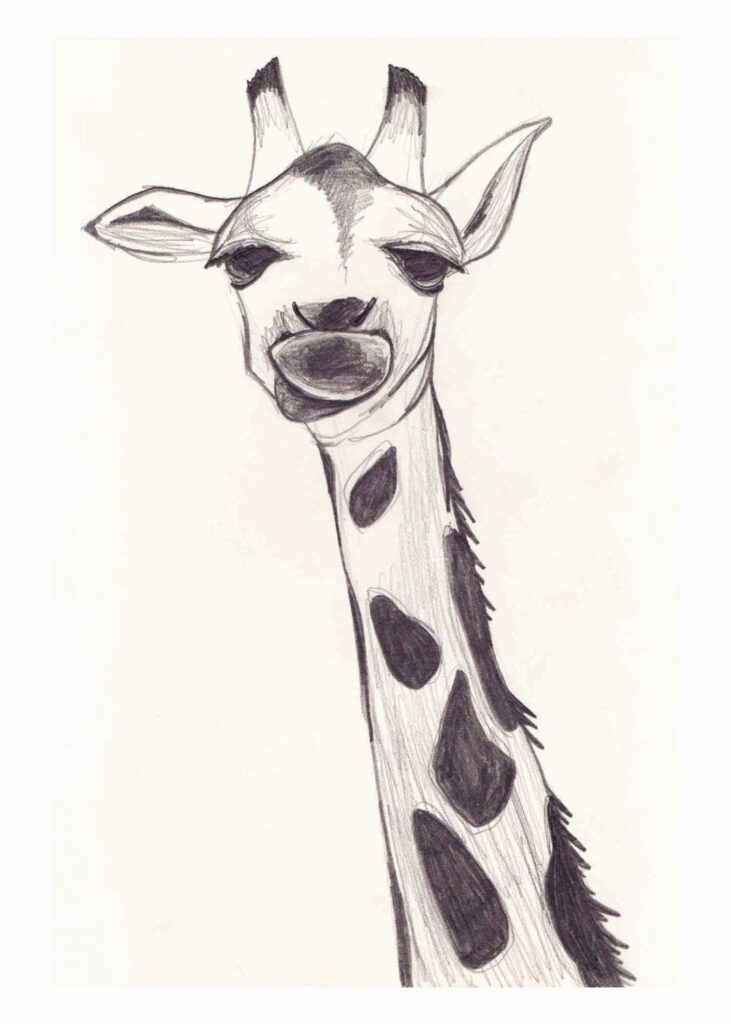 giraffe doodles